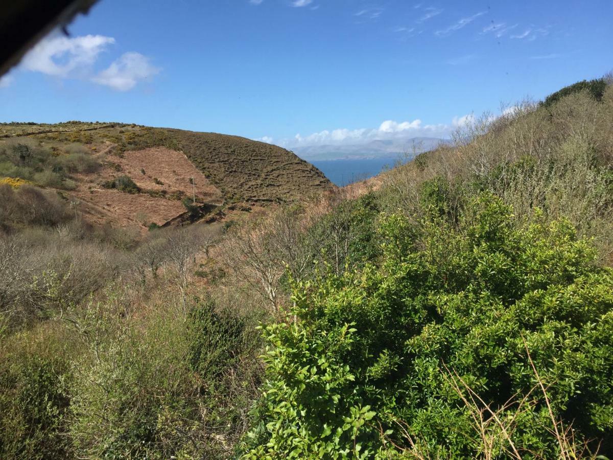 Wild Kerry Lodge غلينبييْ المظهر الخارجي الصورة